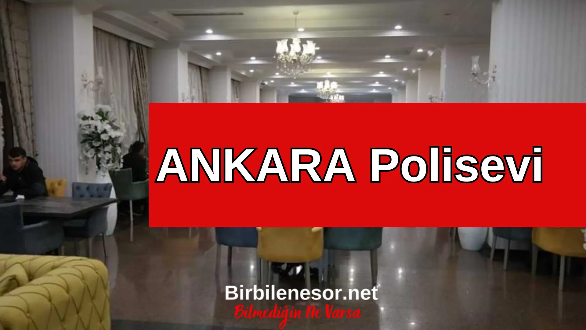 Ankara Polisevi