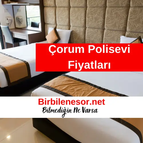 Çorum Polisevi Fiyatları 2024